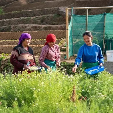 The game with our new additions!