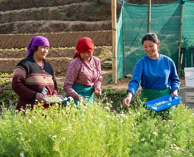 Grown with intention, sourced with care